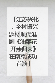 江苏兴化：乡村振兴题材现代淮剧《油菜花开燕归来》在南京成功首演