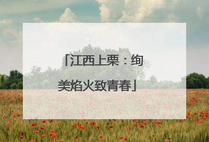 江西上栗：绚美焰火致青春