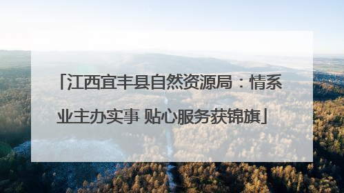 江西宜丰县自然资源局：情系业主办实事 贴心服务获锦旗