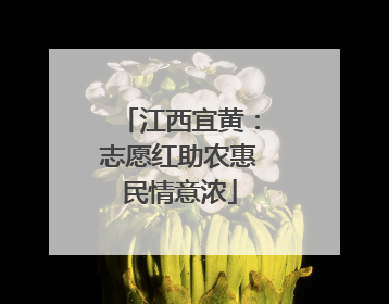 江西宜黄：志愿红助农惠民情意浓