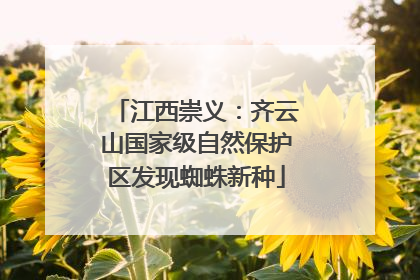 江西崇义：齐云山国家级自然保护区发现蜘蛛新种