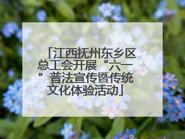 江西抚州东乡区总工会开展“六一”普法宣传暨传统文化体验活动