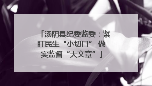 汤阴县纪委监委：紧盯民生“小切口” 做实监督“大文章”