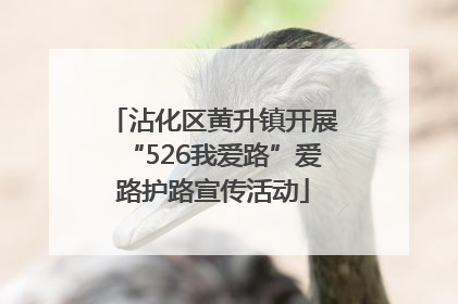 沾化区黄升镇开展“526我爱路”爱路护路宣传活动