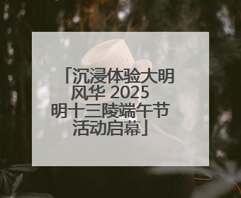 沉浸体验大明风华 2025明十三陵端午节活动启幕