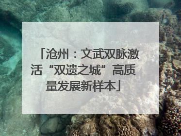 沧州：文武双脉激活“双遗之城”高质量发展新样本