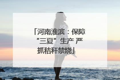 河南淮滨：保障“三夏”生产 严抓秸秆禁烧