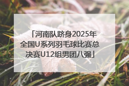 河南队跻身2025年全国U系列羽毛球比赛总决赛U12组男团八强