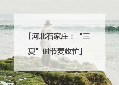 河北石家庄：“三夏”时节麦收忙