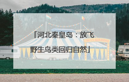 河北秦皇岛：放飞野生鸟类回归自然