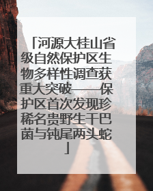 河源大桂山省级自然保护区生物多样性调查获重大突破——保护区首次发现珍稀名贵野生干巴菌与钝尾两头蛇