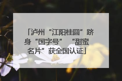 泸州“江阳桂圆”跻身“国字号” “甜蜜名片”获全国认证