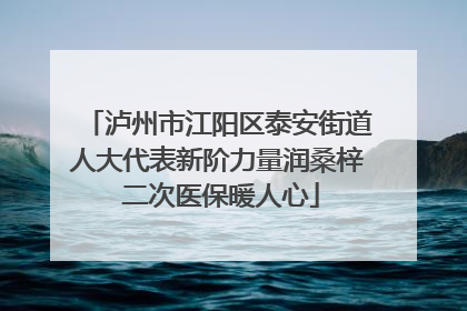 泸州市江阳区泰安街道人大代表新阶力量润桑梓 二次医保暖人心