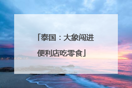泰国：大象闯进便利店吃零食