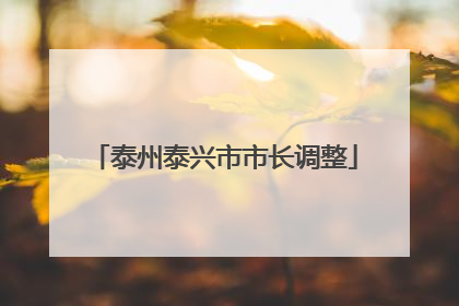 泰州泰兴市市长调整