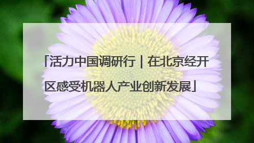 活力中国调研行｜在北京经开区感受机器人产业创新发展