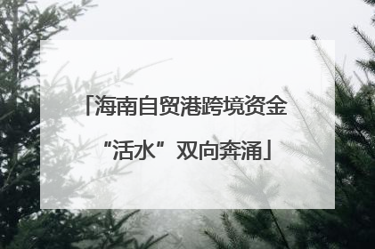 海南自贸港跨境资金“活水”双向奔涌