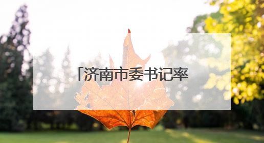 济南市委书记率团去欧洲了！