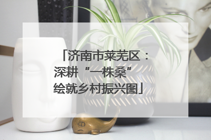 济南市莱芜区：深耕“一株桑” 绘就乡村振兴图