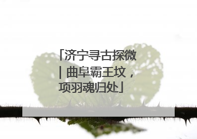 济宁寻古探微｜曲阜霸王坟，项羽魂归处