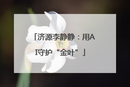 济源李静静：用AI守护“金叶”