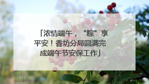 浓情端午，“粽”享平安！香坊分局圆满完成端午节安保工作