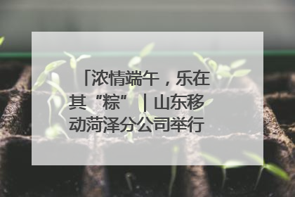 浓情端午，乐在其“粽”｜山东移动菏泽分公司举行端午节主题活动