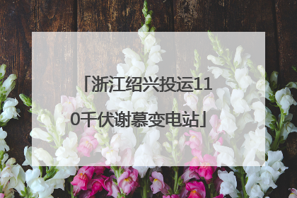 浙江绍兴投运110千伏谢慕变电站