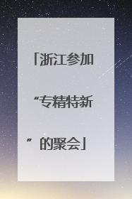 浙江参加“专精特新”的聚会