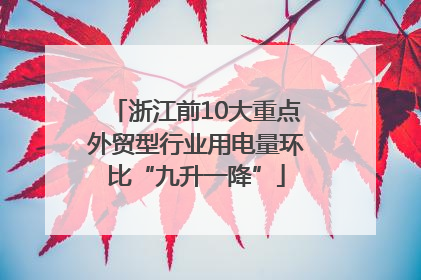 浙江前10大重点外贸型行业用电量环比“九升一降”