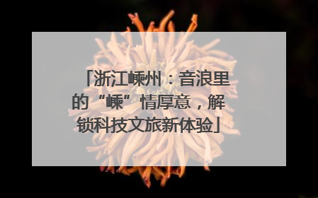 浙江嵊州：音浪里的“嵊”情厚意，解锁科技文旅新体验
