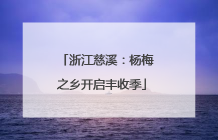 浙江慈溪：杨梅之乡开启丰收季