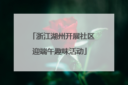 浙江湖州开展社区迎端午趣味活动