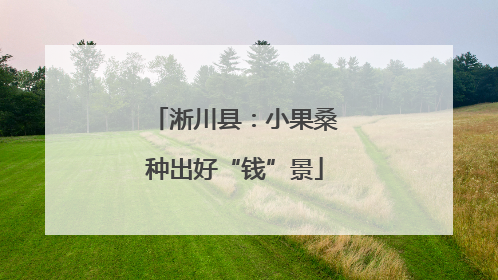 淅川县：小果桑种出好“钱”景