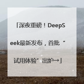 深夜重磅！DeepSeek最新发布，首批“试用体验”出炉→