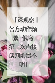 深观察丨各方动作频繁  俄乌第二次直接谈判前景不明