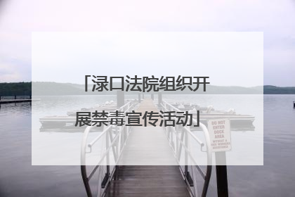 渌口法院组织开展禁毒宣传活动