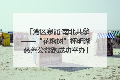 湾区泉涌·南北共擎——“花楸树”杯明湖慈善公益跑成功举办