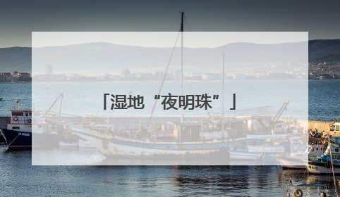 湿地“夜明珠”