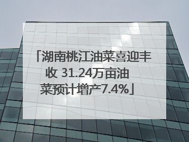 湖南桃江油菜喜迎丰收 31.24万亩油菜预计增产7.4%