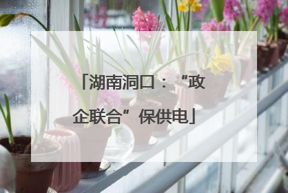 湖南洞口：“政企联合”保供电