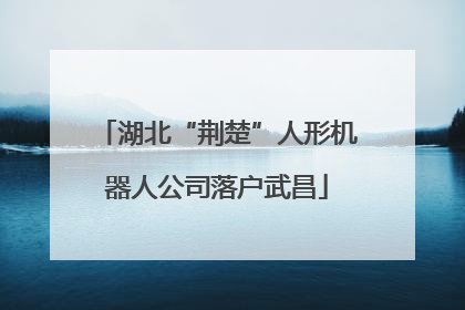 湖北“荆楚”人形机器人公司落户武昌