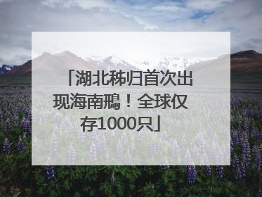 湖北秭归首次出现海南鳽！全球仅存1000只
