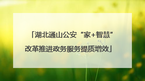 湖北通山公安“家+智慧”改革推进政务服务提质增效