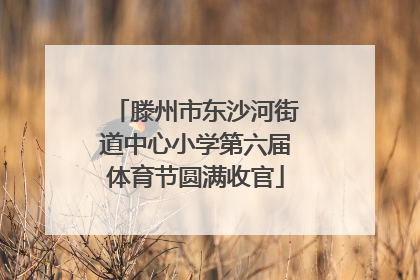 滕州市东沙河街道中心小学第六届体育节圆满收官