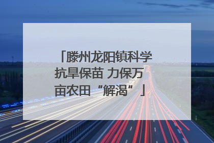 滕州龙阳镇科学抗旱保苗 力保万亩农田“解渴”