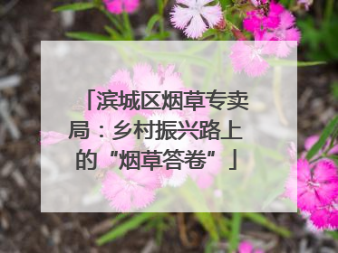 滨城区烟草专卖局：乡村振兴路上的“烟草答卷”