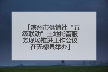 滨州市供销社“五级联动”土地托管服务现场推进工作会议在无棣县举办