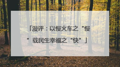 漫评：以慢火车之“慢”载民生幸福之“快”