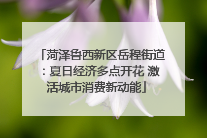 菏泽鲁西新区岳程街道：夏日经济多点开花 激活城市消费新动能